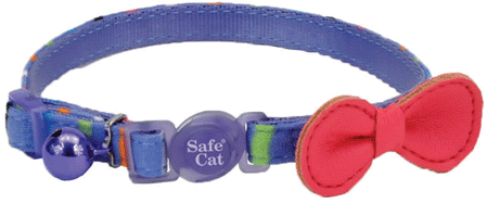 COASTAL Safe Cat Embellished Fashion Collar 3/8" x 8
