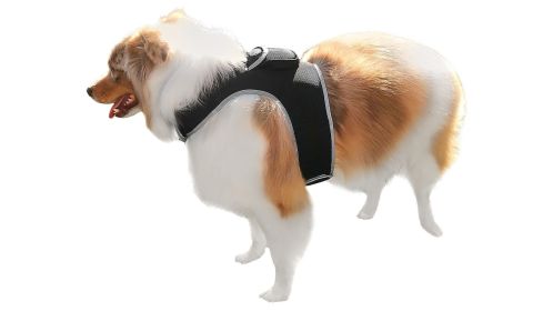 Realtime GSM GPRS Tracking Waterproof Mini GPS Dog Collar Pet Tracker Size:L