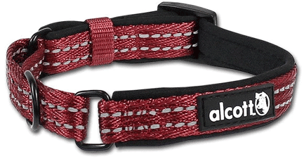 P.A.W. Martingale Collar Red (Option: L)