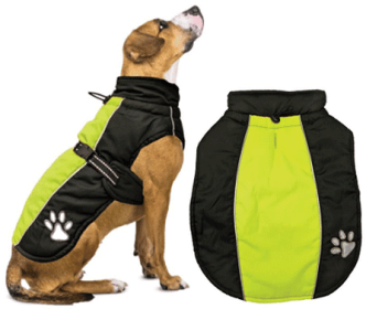 FASHION PET Sporty Jacket Black/Green (Option: L)